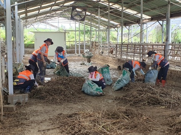 [ũ�⺯ȯ]���ҹ漭 �ǿ�ҹ�� ����Ȱ�� ����.jpg