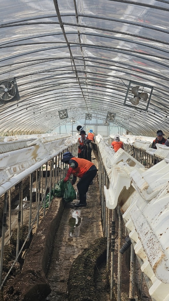 [ũ�⺯ȯ]�ڿ����缾�� ȫ���� �ڿ�����(3).jpg