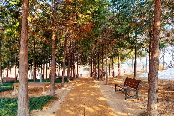 �ùΰ��� �� �ǹ߰ȱ�� (2).jpg