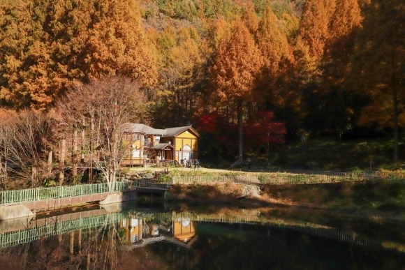 �º��ڿ��޾縲 (4).JPG