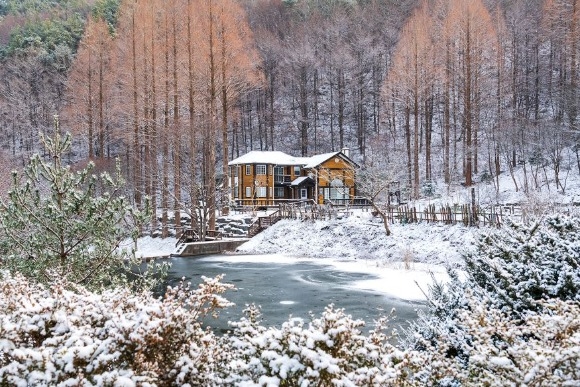 �º��ڿ��޾縲 (1).JPG