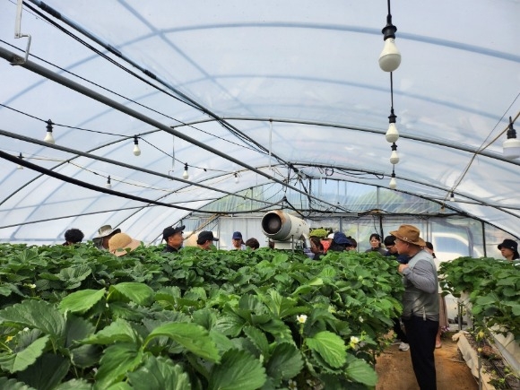 [ũ�⺯ȯ]-�ٽø����� �������� ���� �� ���2.jpg